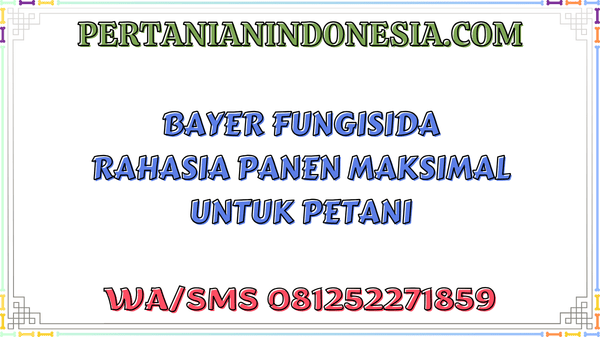 Bayer Fungisida Rahasia Panen Maksimal Untuk Petani